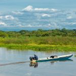 El Llanito - Barrancabermeja - Colombia