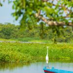 El Llanito - Barrancabermeja - Colombia