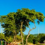 Puerto Velero - Barranquilla - Atlántico - Colombia